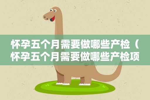 怀孕五个月需要做哪些产检（怀孕五个月需要做哪些产检项目）