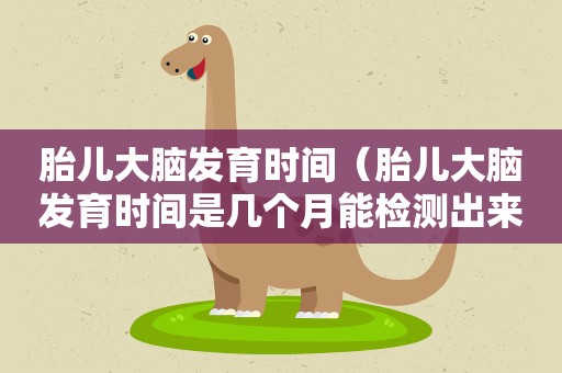 胎儿大脑发育时间（胎儿大脑发育时间是几个月能检测出来）