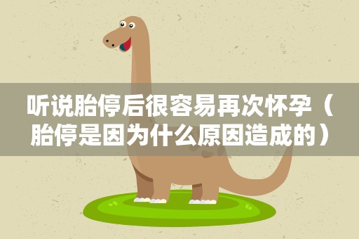听说胎停后很容易再次怀孕（胎停是因为什么原因造成的）