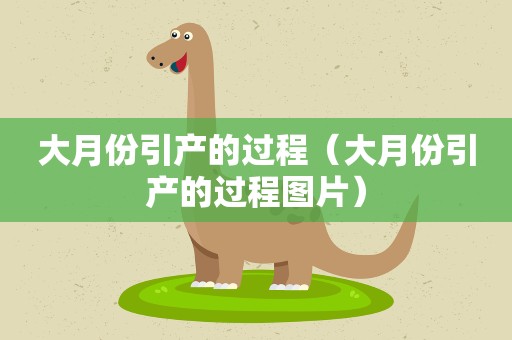 大月份引产的过程（大月份引产的过程图片）