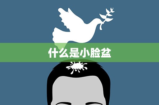什么是小脸盆