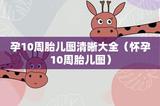 孕10周胎儿图清晰大全(怀孕10周胎儿图) 孕10周胎儿图清晰大全(怀孕10周胎儿图)