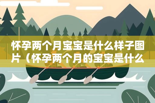 怀孕两个月宝宝是什么样子图片(怀孕两个月的宝宝是什么样子图片) 怀孕两个月宝宝是什么样子图片(怀孕两个月的宝宝是什么样子图片)