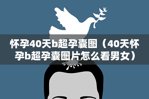 怀孕40天b超孕囊图(40天怀孕b超孕囊图片怎么看男女) 怀孕40天b超孕囊图(40天怀孕b超孕囊图片怎么看男女)