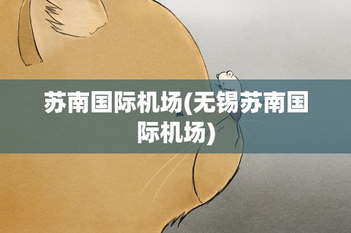 苏南国际机场(无锡苏南国际机场)