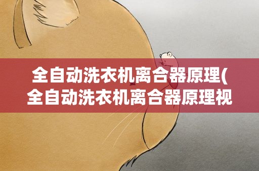 全自动洗衣机离合器原理(全自动洗衣机离合器原理视频)