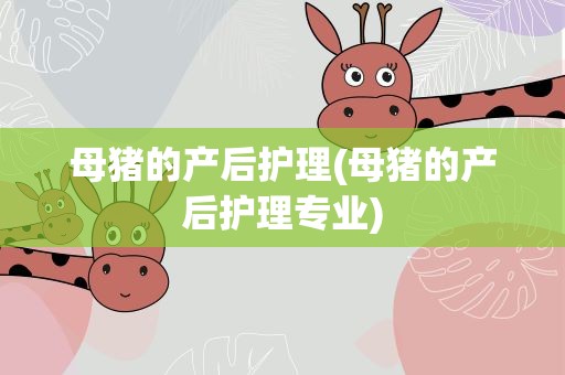 母猪的产后护理(母猪的产后护理专业) 母猪的产后护理(母猪的产后护理专业)