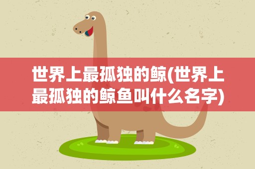 世界上最孤独的鲸(世界上最孤独的鲸鱼叫什么名字) 世界上最孤独的鲸(世界上最孤独的鲸鱼叫什么名字)