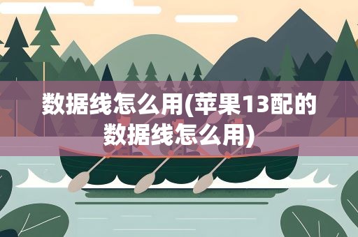 数据线怎么用(苹果13配的数据线怎么用)