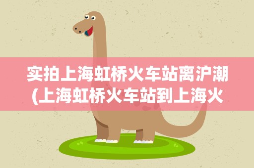 实拍上海虹桥火车站离沪潮(上海虹桥火车站到上海火车站有多远？)