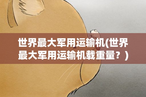 世界最大军用运输机(世界最大军用运输机载重量？)