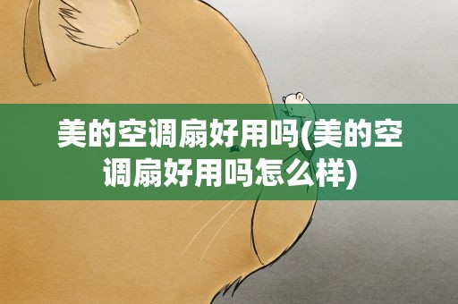 美的空调扇好用吗(美的空调扇好用吗怎么样)