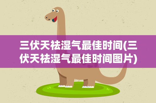 三伏天祛湿气最佳时间(三伏天祛湿气最佳时间图片)