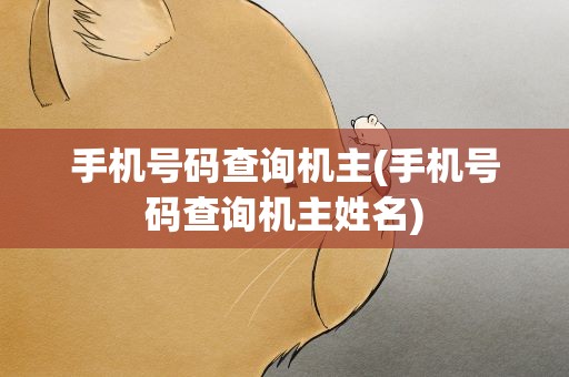 手机号码查询机主(手机号码查询机主姓名)