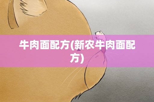 牛肉面配方(新农牛肉面配方)