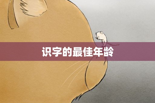 识字的最佳年龄