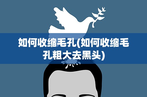 如何收缩毛孔(如何收缩毛孔粗大去黑头)