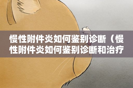 慢性附件炎如何鉴别诊断（慢性附件炎如何鉴别诊断和治疗）