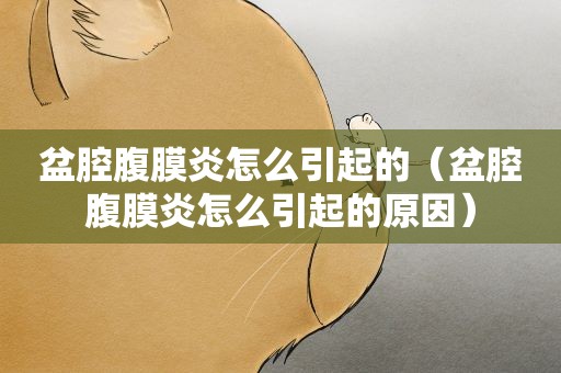 盆腔腹膜炎怎么引起的（盆腔腹膜炎怎么引起的原因）