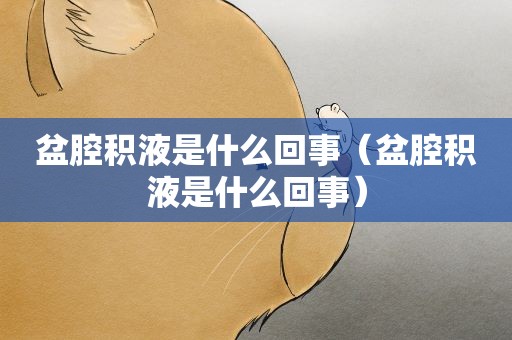 盆腔积液是什么回事（盆腔积液是什么回事）