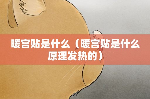 暖宫贴是什么（暖宫贴是什么原理发热的）