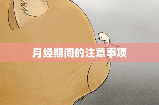 月经期间的注意事项