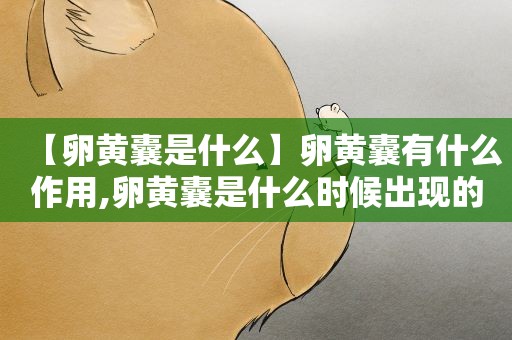 【卵黄囊是什么】卵黄囊有什么作用,卵黄囊是什么时候出现的
