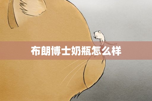 布朗博士奶瓶怎么样