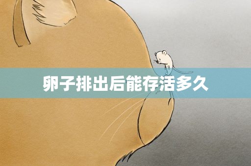 卵子排出后能存活多久