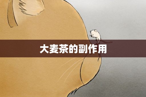 大麦茶的副作用