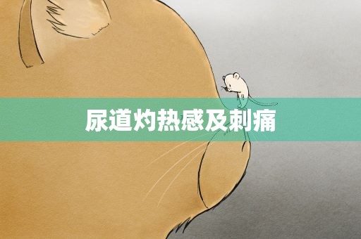 尿道灼热感及刺痛