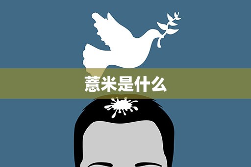薏米是什么