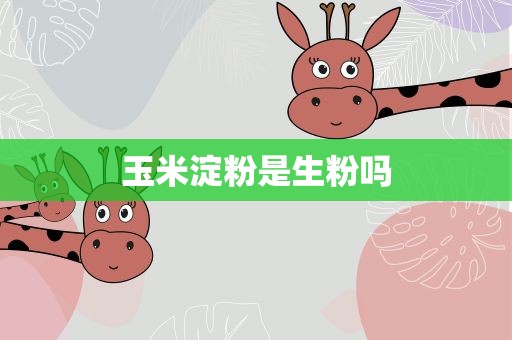 玉米淀粉是生粉吗