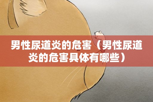 男性尿道炎的危害（男性尿道炎的危害具体有哪些）