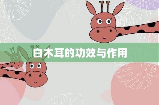 白木耳的功效与作用
