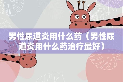 男性尿道炎用什么药（男性尿道炎用什么药治疗最好）