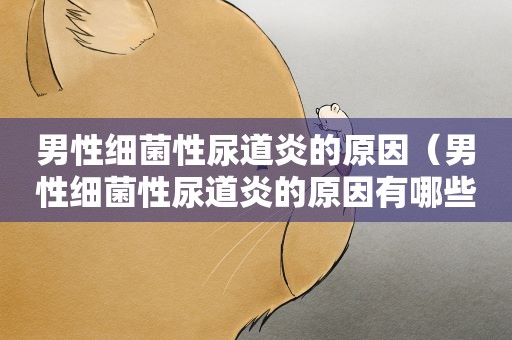 男性细菌性尿道炎的原因（男性细菌性尿道炎的原因有哪些）