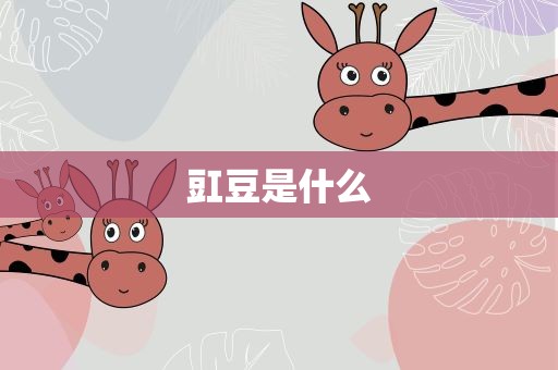 豇豆是什么