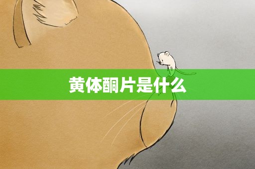 黄体酮片是什么