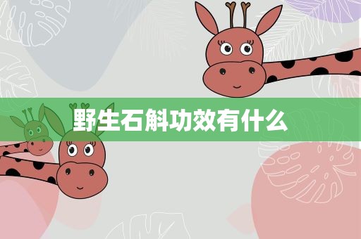 野生石斛功效有什么