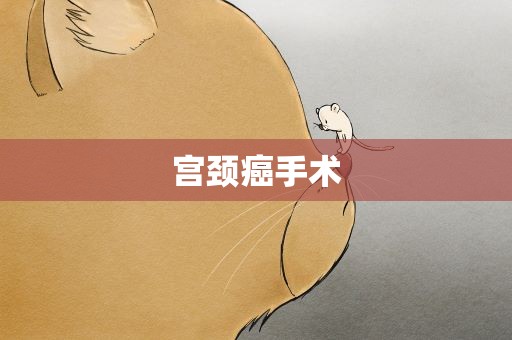 宫颈癌手术