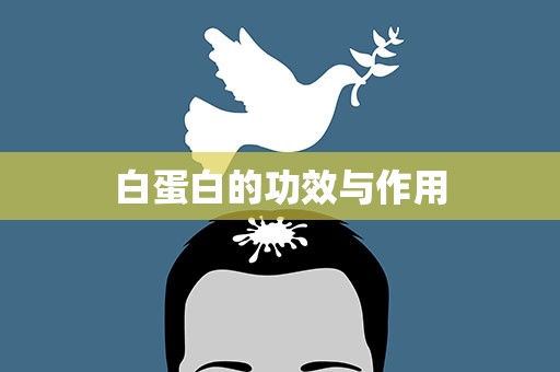 白蛋白的功效与作用