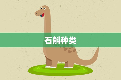 石斛种类