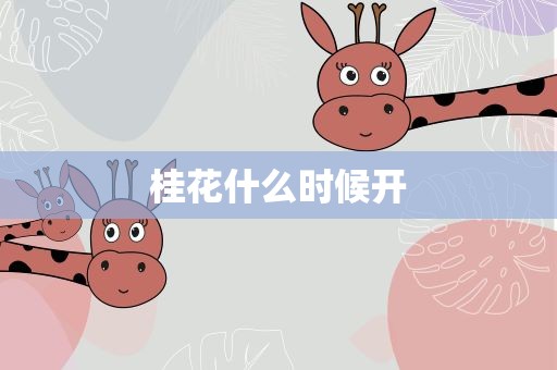 桂花什么时候开
