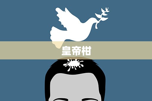 皇帝柑