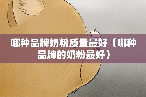 哪种品牌奶粉质量最好（哪种品牌的奶粉最好）