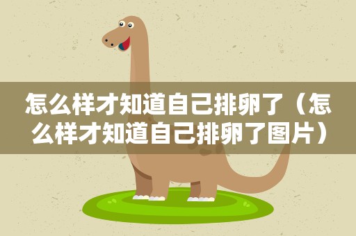怎么样才知道自己排卵了（怎么样才知道自己排卵了图片）