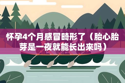 怀孕4个月感冒畸形了（胎心胎芽是一夜就能长出来吗）