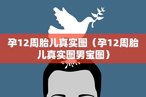 孕12周胎儿真实图（孕12周胎儿真实图男宝图）
