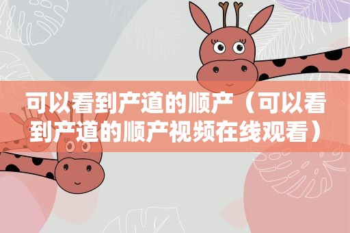 可以看到产道的顺产（可以看到产道的顺产视频在线观看）